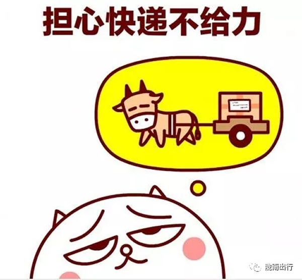隴運集團武都汽車站、成縣汽車站、康縣汽車站快運